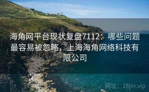 海角网平台现状复盘7112：哪些问题最容易被忽略，上海海角网络科技有限公司