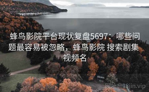 蜂鸟影院平台现状复盘5697：哪些问题最容易被忽略，蜂鸟影院 搜索剧集 视频名