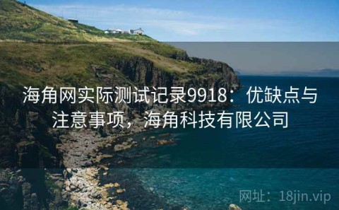 海角网实际测试记录9918：优缺点与注意事项，海角科技有限公司