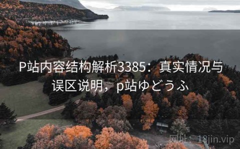 P站内容结构解析3385：真实情况与误区说明，p站ゆどうふ