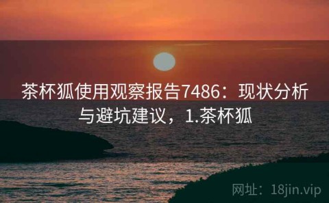 茶杯狐使用观察报告7486：现状分析与避坑建议，1.茶杯狐