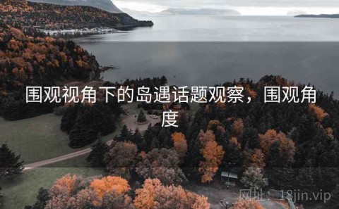 围观视角下的岛遇话题观察，围观角度
