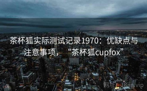 茶杯狐实际测试记录1970：优缺点与注意事项，“茶杯狐cupfox”