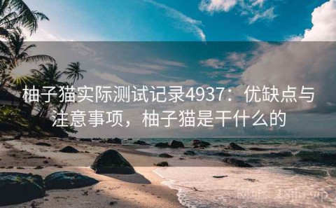 柚子猫实际测试记录4937：优缺点与注意事项，柚子猫是干什么的