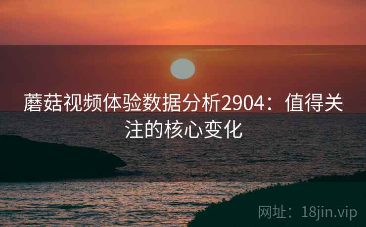 蘑菇视频体验数据分析2904：值得关注的核心变化
