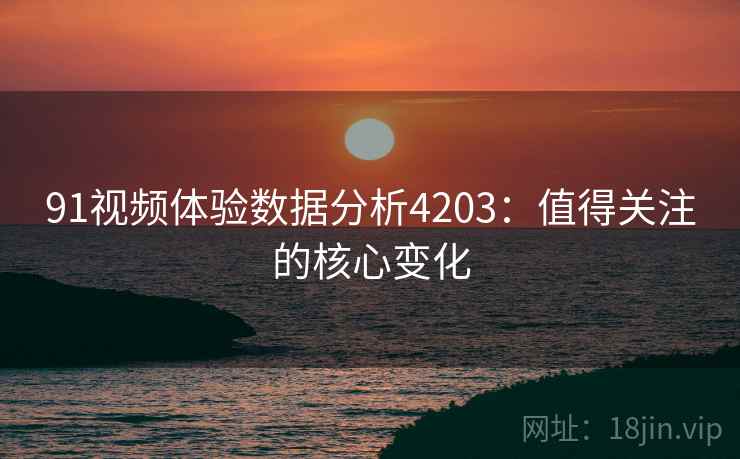 91视频体验数据分析4203：值得关注的核心变化
