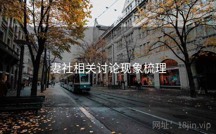 妻社相关讨论现象梳理 妻社相关讨论现象梳理