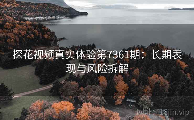 探花视频真实体验第7361期：长期表现与风险拆解