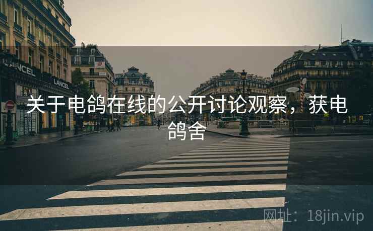 关于电鸽在线的公开讨论观察,获电鸽舍 关于电鸽在线的公开讨论观察,获电鸽舍