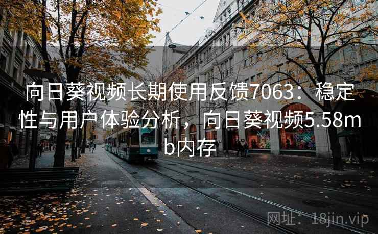 向日葵视频长期使用反馈7063：稳定性与用户体验分析，向日葵视频5.58mb内存